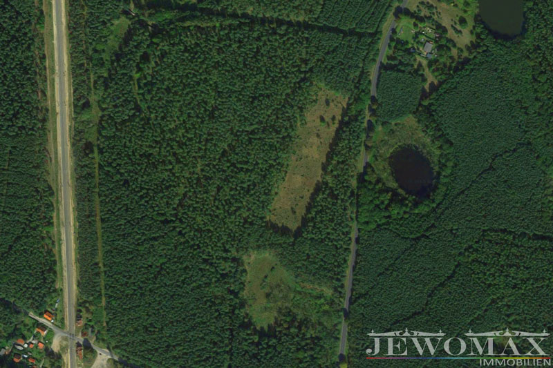 Waldfläche in Godendorf - Satellitenbild (Quelle Google Maps)