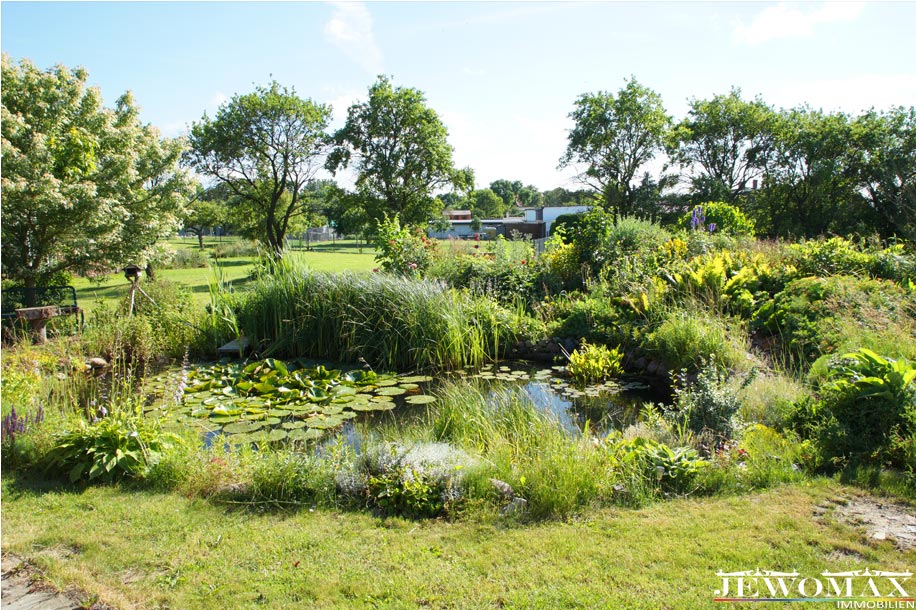 3 - Teich und Gartenanlage